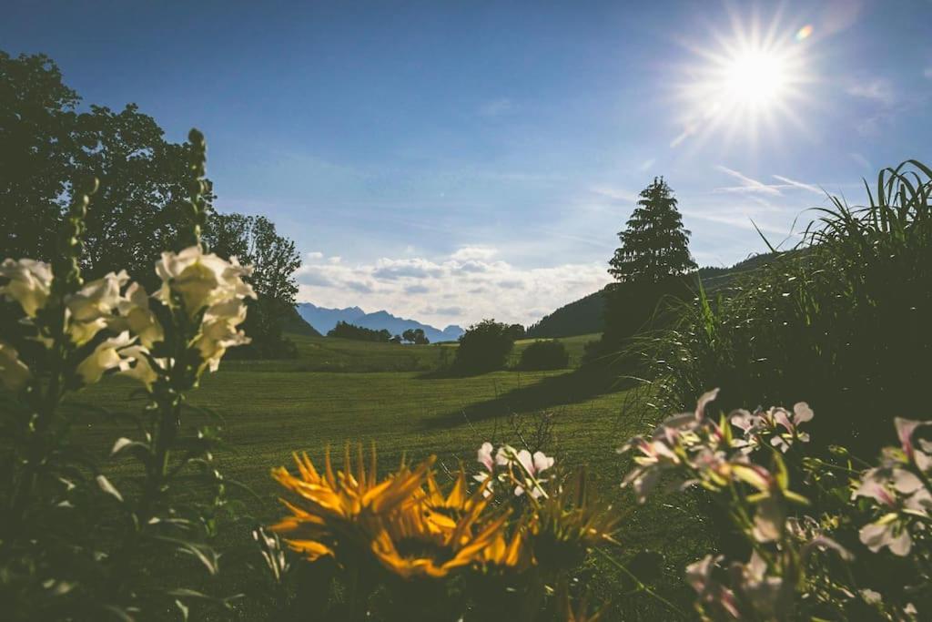 Fritzis Alpenidyll „Sommertraum & Winterromantik” Samerberg Extérieur photo