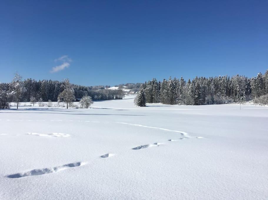 Fritzis Alpenidyll „Sommertraum & Winterromantik” Samerberg Extérieur photo
